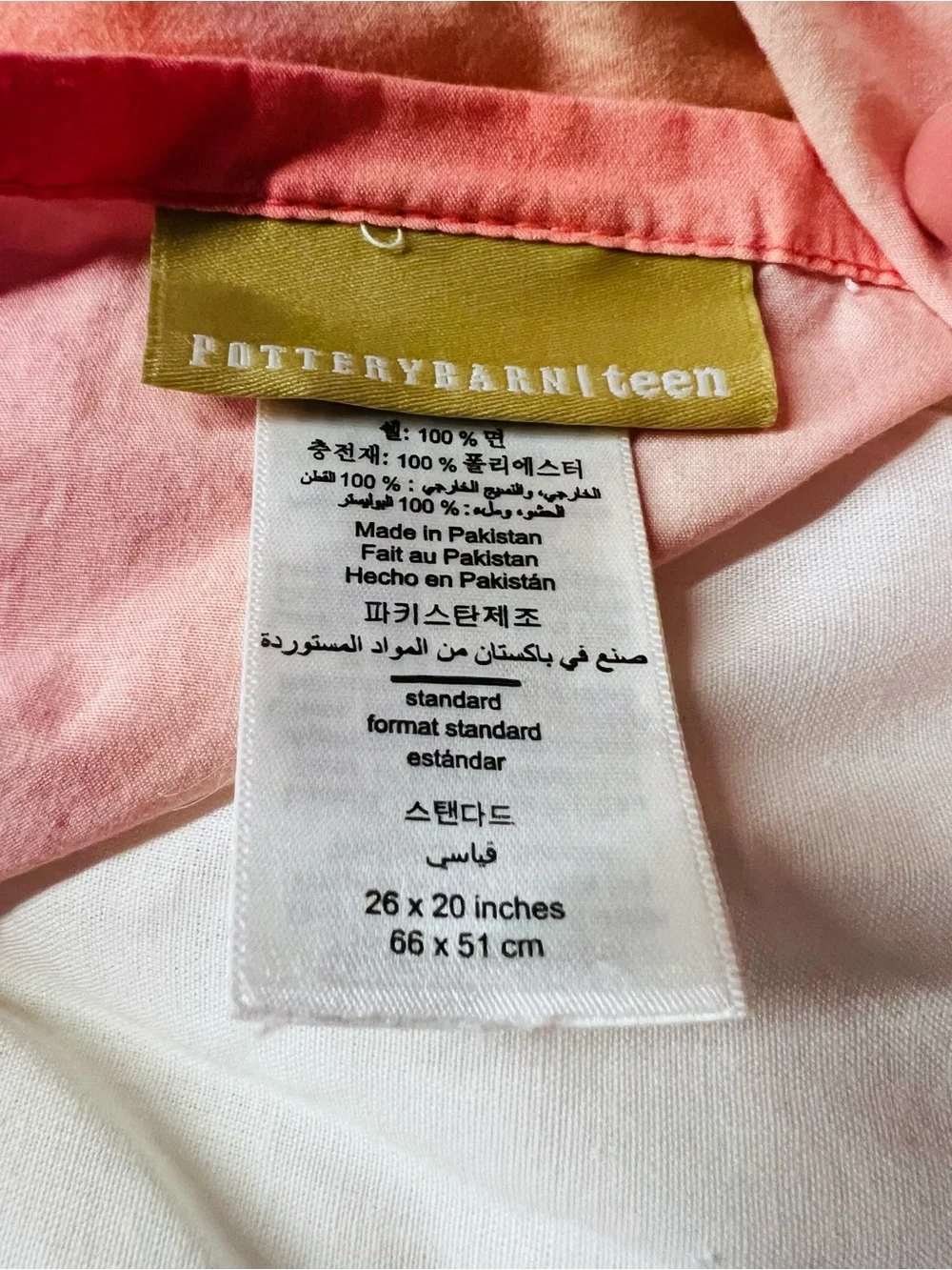 Pottery Barn Teen Set of 2 Ombre Rainbow Colors Puffy Pillow Cover